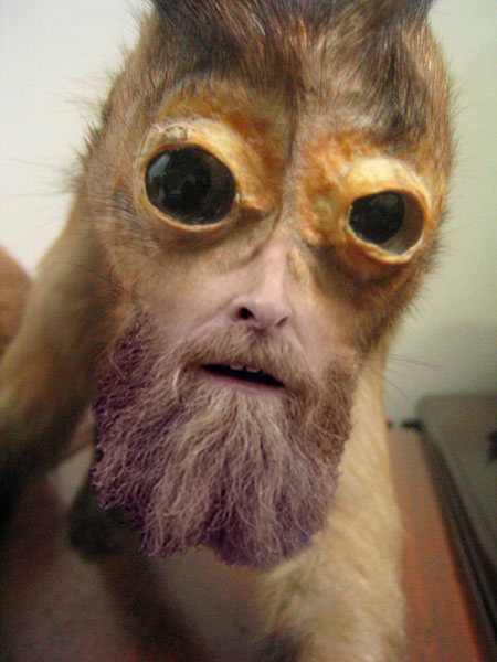 stuffed Bronkey